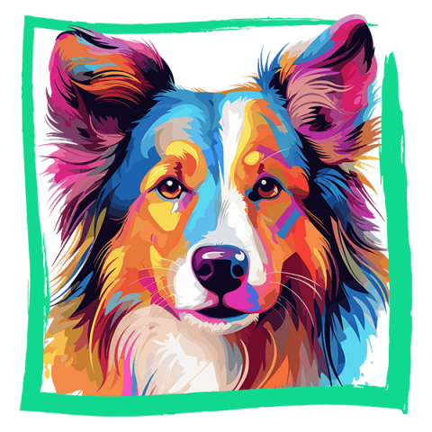 Tricou Shetland Sheepdog [1]
