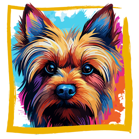 Tricou Silky Terrier [1]