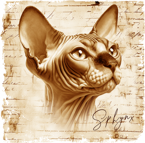Tricou Sphynx [1]