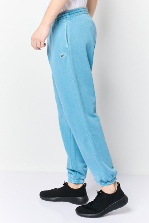 Pantaloni trening bărbați, Reebok, Albastru, Jogger CL ND FT [2]