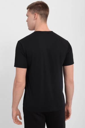 Tricou Barbati, Champion, Micrologo, Bumbac [1]