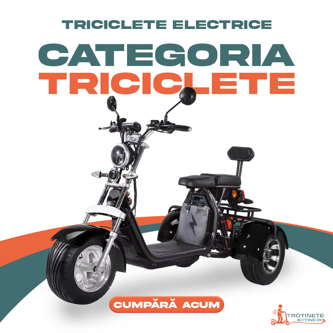 Categoria Triciclete