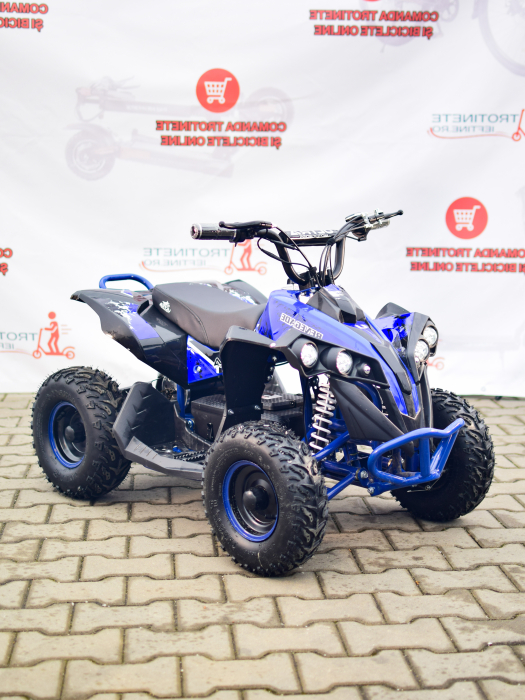 atx1000-aero-quad-electric-copii-48v-1000w.jpg [9]