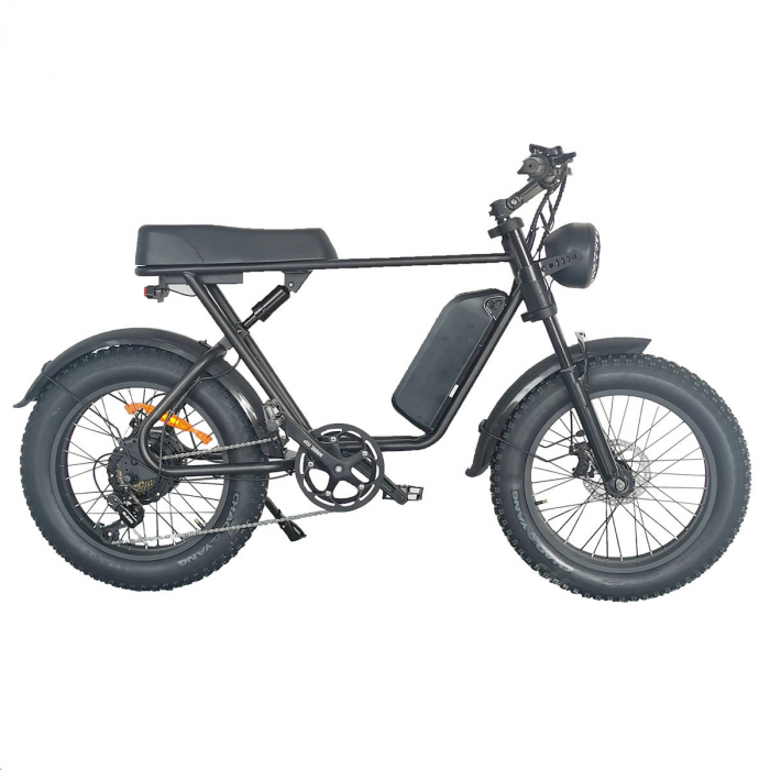 Bicicletă Electrică C91 OFF-Road 1000W • 48V 18Ah • 55 km/h • Fat-Bike 20" • 4 moduri de condus [6]