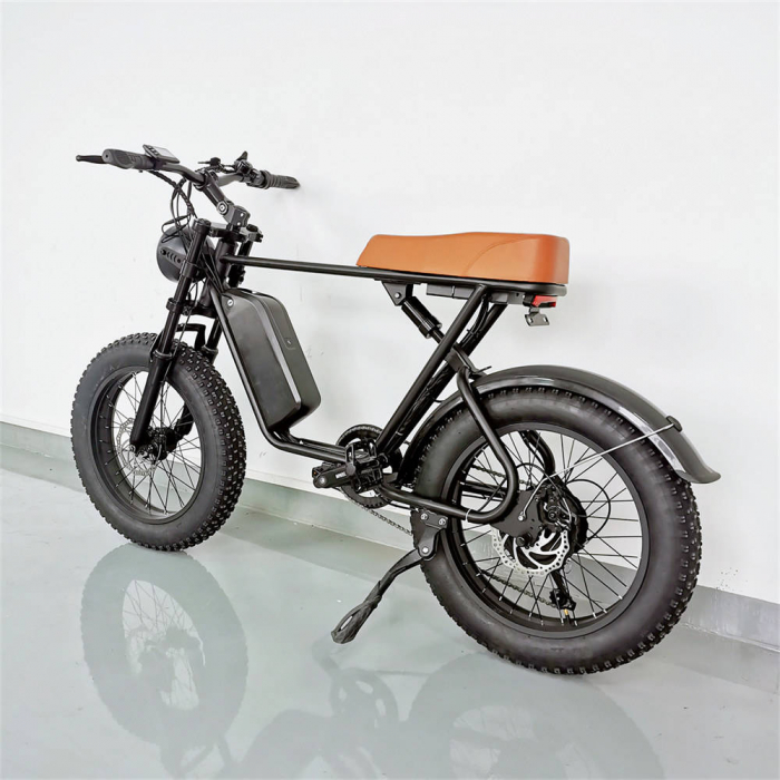 Bicicletă Electrică C91 OFF-Road 1000W • 48V 18Ah • 55 km/h • Fat-Bike 20" • 4 moduri de condus [2]