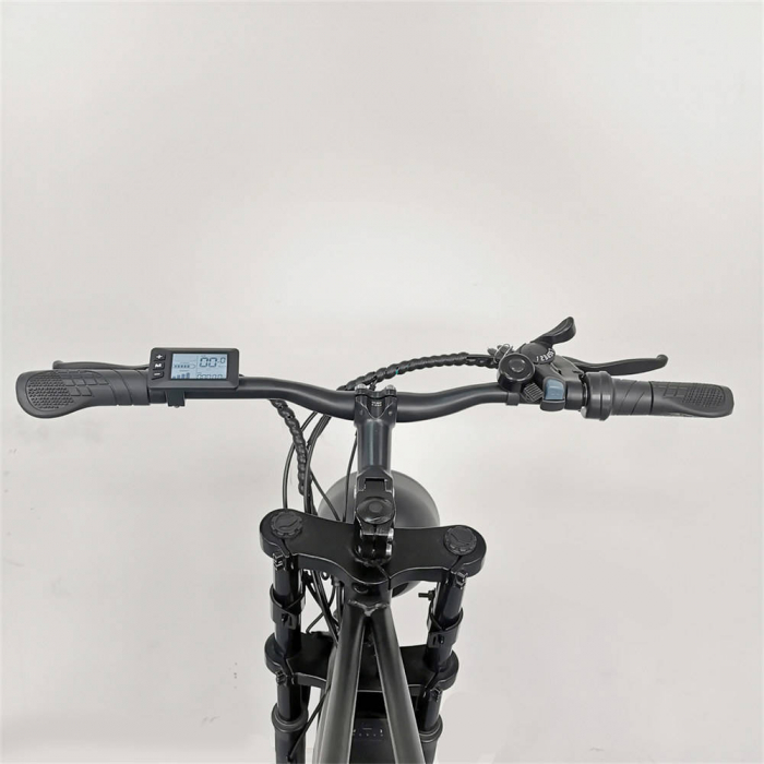 Bicicletă Electrică C91 OFF-Road 1000W • 48V 18Ah • 55 km/h • Fat-Bike 20" • 4 moduri de condus [3]