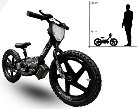 Bicicletă electrică copii TRX250 Balance Bike 250W 16 inch 4Ah [2]