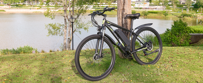 Bicicleta Electrica E8, roti 29 inch, 48V 17,5ah, 750W, 48 km/h [17]