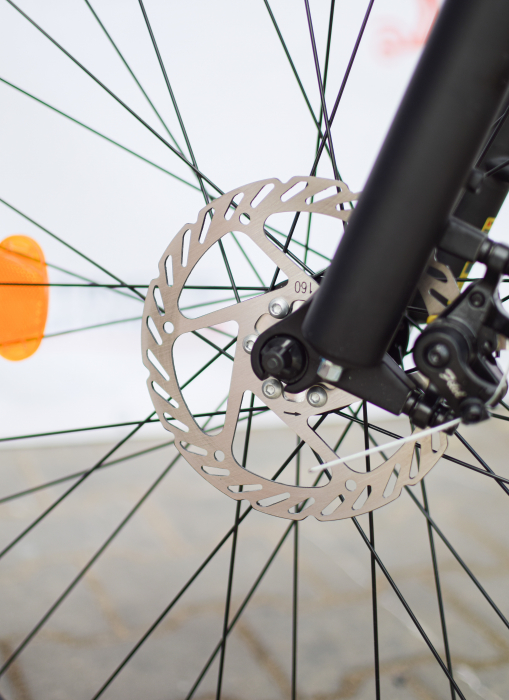 Bicicleta Electrica E8, roti 29 inch, 48V 17,5ah, 750W, 48 km/h [30]