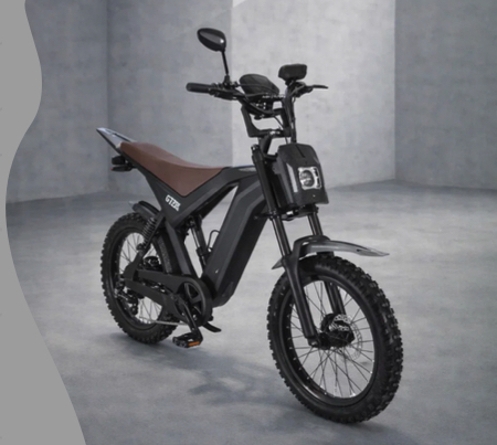 bicicleta-electrica-ouxi-gt20-250w-48v-15ah.jpg [3]
