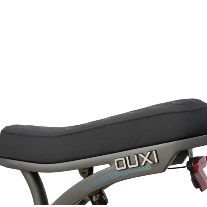 Bicicleta electrica OUXI Q8-S, 250W, baterie 48V 15Ah, autonomie 75 km, roti 20x4.0, suspensie fata-spate [7]