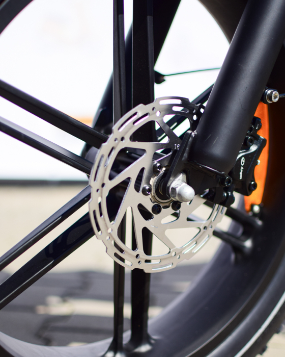bicicleta-electrica-ouxi-v8-ultra-250w-48v-15ah.jpg [18]