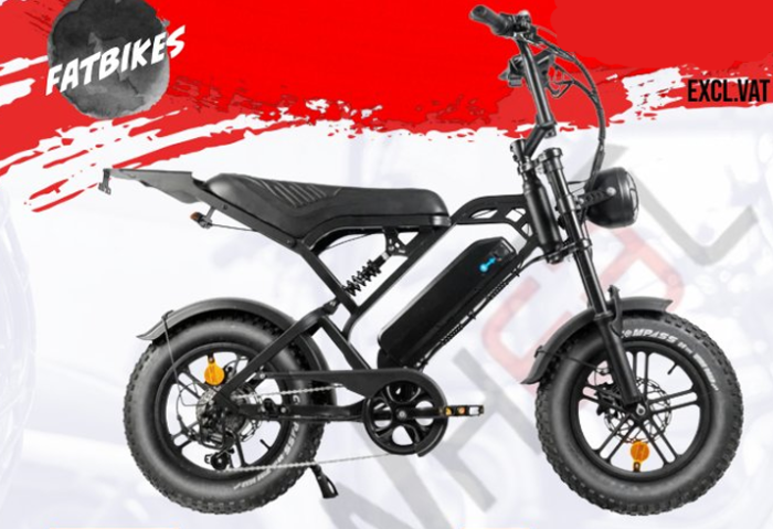 Bicicletă electrică QM-Wheel V20 Mini FatBike 250W 48V [2]