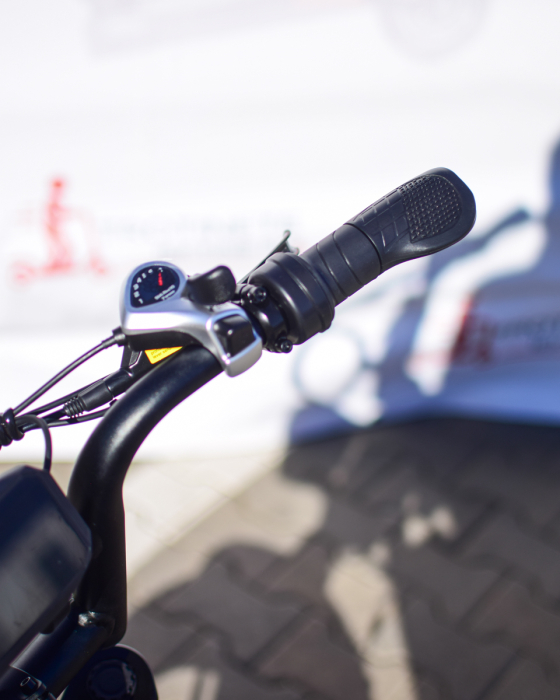 Bicicletă electrică QM-Wheel V20 Mini FatBike 250W 48V [19]