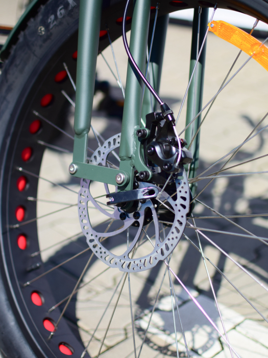 Bicicleta electrica ULTRA Beachcruiser Fat Bike 26 inch [10]