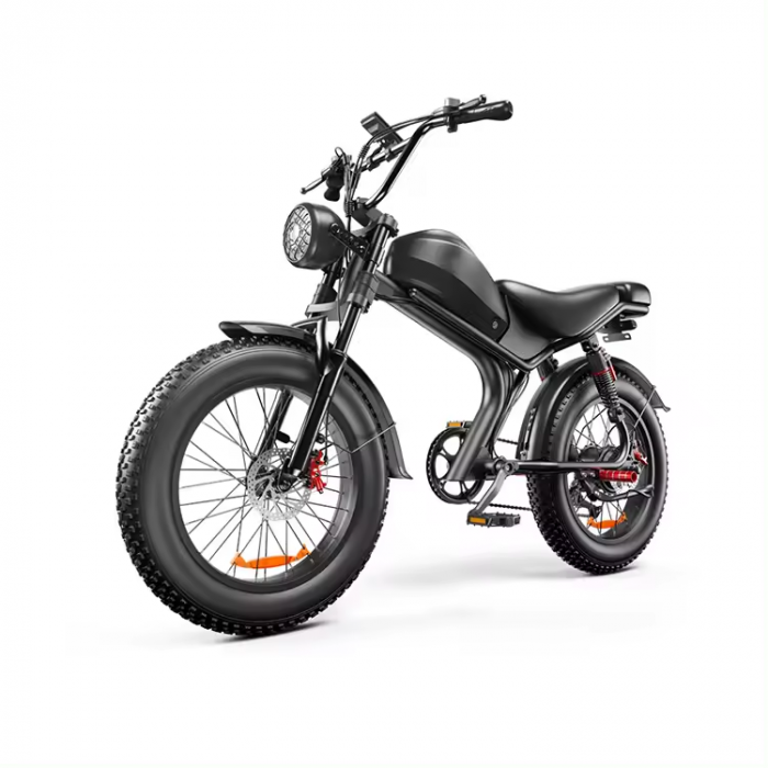 Bicicleta-Moto Electrica C93, 1000w, viteza 55 km/h, 20inch, autonomie 80km [12]