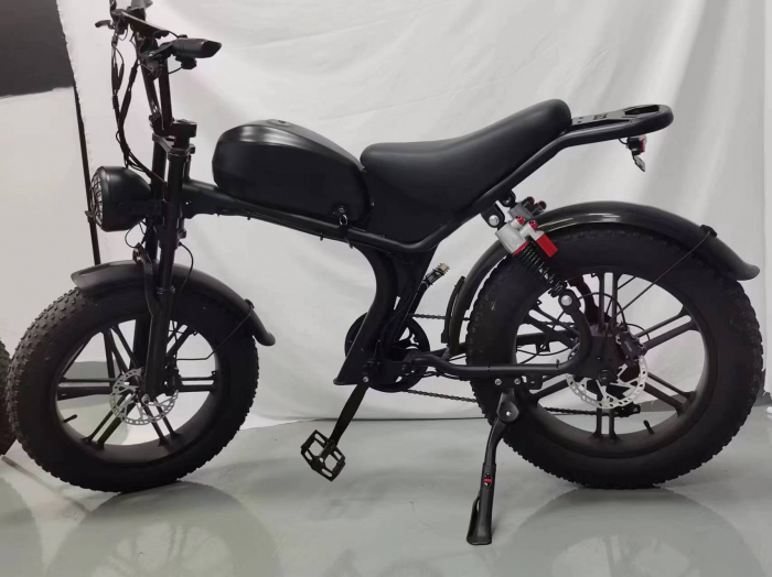 Bicicleta-Moto Electrica C93, 1000w, viteza 55 km/h, 20inch, autonomie 80km [3]