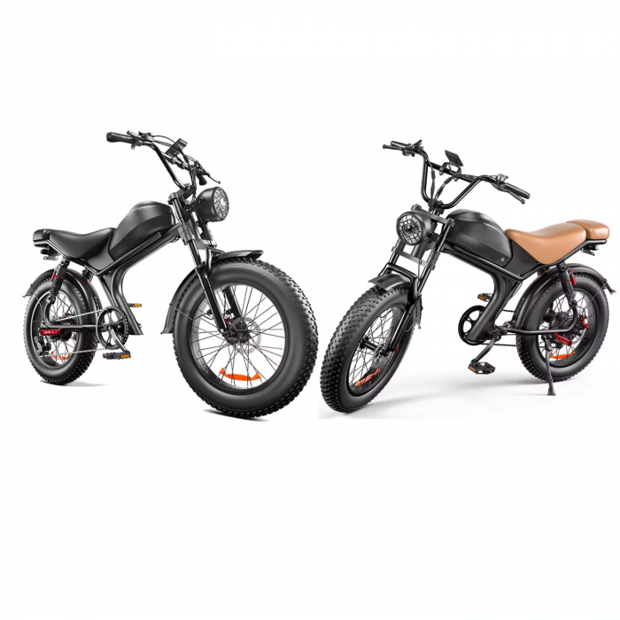 Bicicleta-Moto Electrica C93, 1000w, viteza 55 km/h, 20inch, autonomie 80km [2]