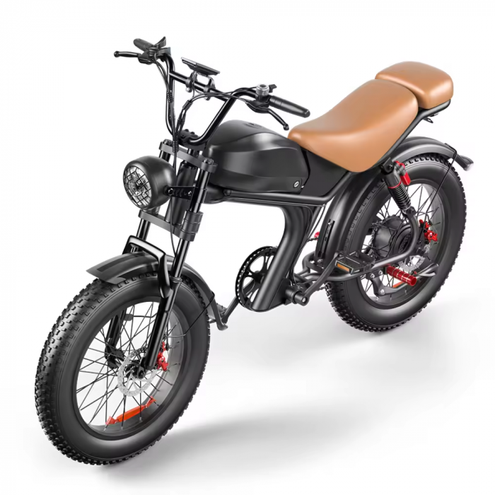 Bicicleta-Moto Electrica C93, 1000w, viteza 55 km/h, 20inch, autonomie 80km [6]