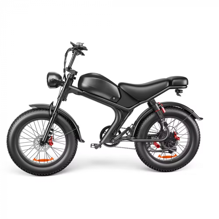 Bicicleta-Moto Electrica C93, 1000w, viteza 55 km/h, 20inch, autonomie 80km [7]