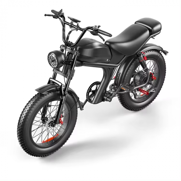 Bicicleta-Moto Electrica C93, 1000w, viteza 55 km/h, 20inch, autonomie 80km [10]