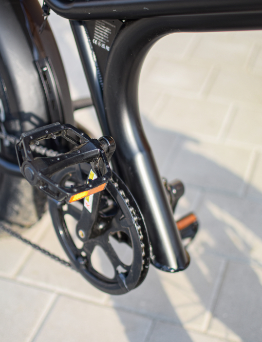 Fat-Bike Electric, Bicicleta C93, 1000w, Roti 20 inch, 55 km/h, Maro [5]