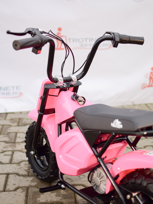 monkey-bike-electric-copii-250w-22km.jpg [9]