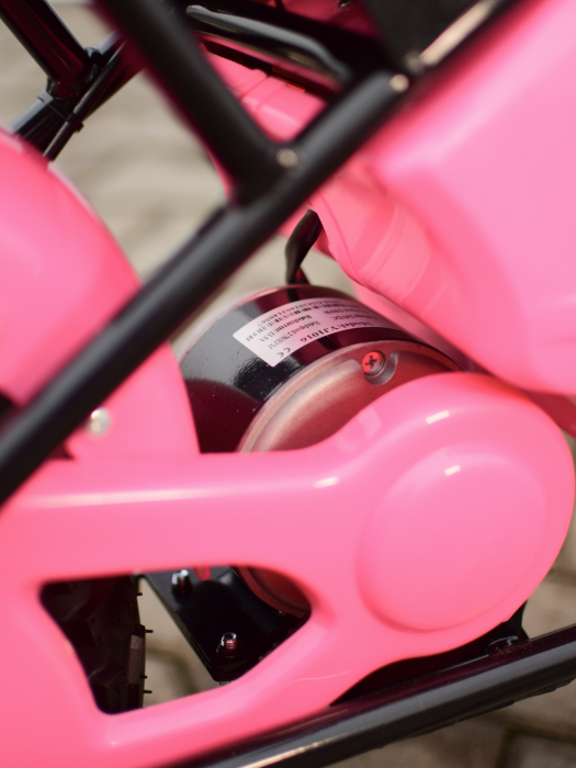 monkey-bike-electric-copii-250w-22km.jpg [13]