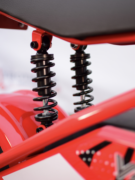 ilx1000-viper-crosser-motocicleta-electrica-copii-1000w.jpg [25]