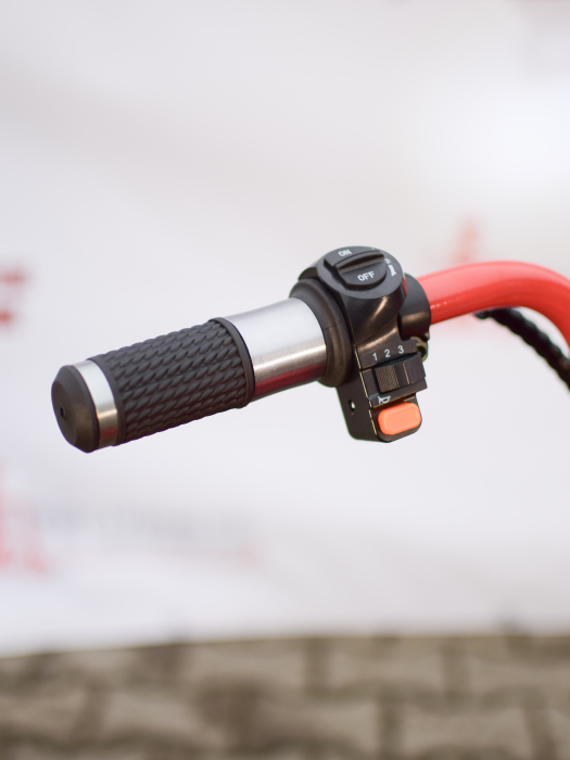 ilx1000-viper-crosser-motocicleta-electrica-copii-1000w.jpg [29]