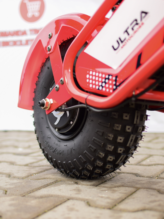 ilx1000-viper-crosser-motocicleta-electrica-copii-1000w.jpg [24]