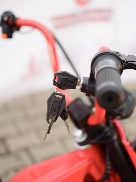 ilx1000-viper-crosser-motocicleta-electrica-copii-1000w.jpg [15]