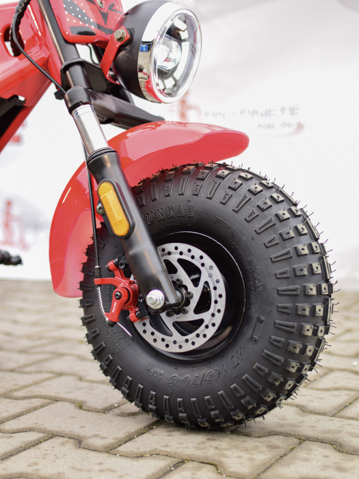 ilx1000-viper-crosser-motocicleta-electrica-copii-1000w.jpg [17]