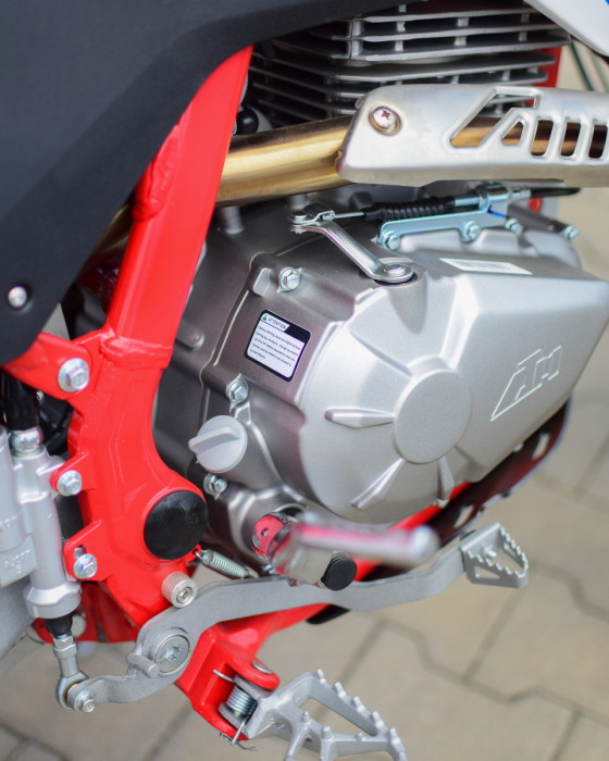 Motocross Apollo Thunder 300CC 4-Stroke 16HP, 90KM/H, Roți 19/16", Frâne Hidraulice, Rezervor 6.5L, 94CM Ride Height  ROSU [5]