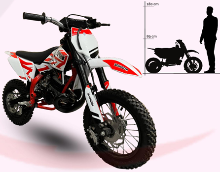 Motocross Koshine 49CC 12-10 Inch Verde 9HP [2]