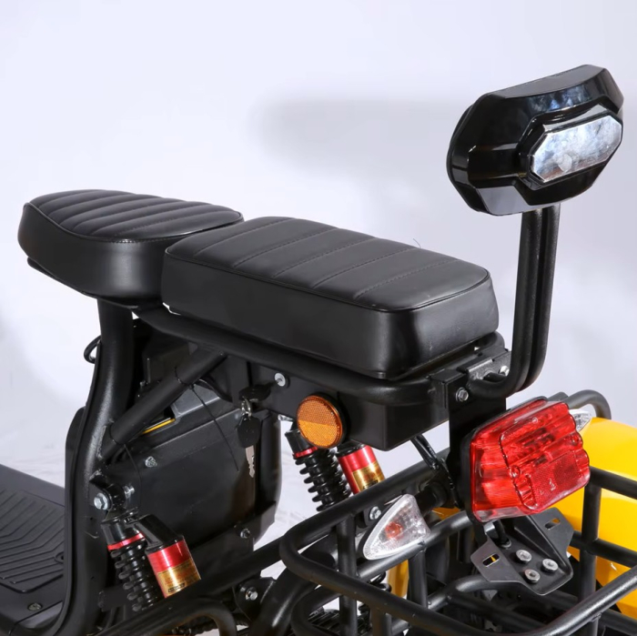 Scuter Electric SHANSU CP-3 3 Roți 2000W Negru [19]