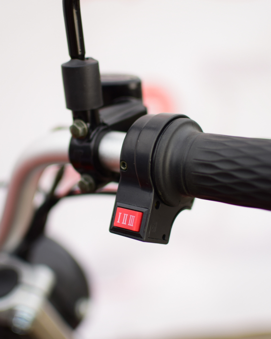 Scuter Electric Chopper SB50, 2000W, 20Ah, 8 inch, Negru [21]