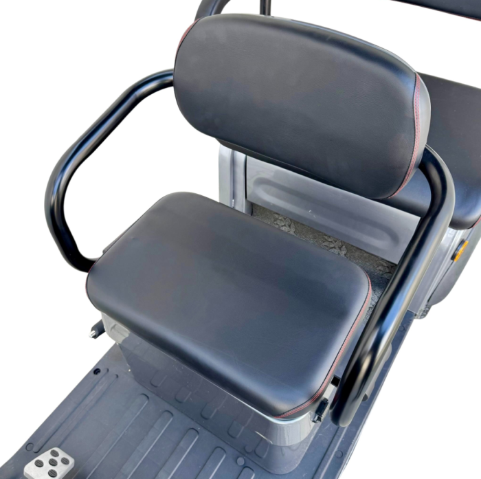 Tricicletă Electrică cu 2 Locuri și Acoperiș, Baterie 20Ah [14]