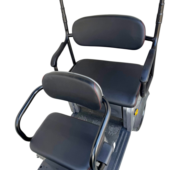 Tricicletă Electrică cu 2 Locuri și Acoperiș, Baterie 20Ah [16]