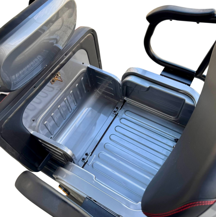 Tricicletă Electrică cu 2 Locuri și Acoperiș, Baterie 20Ah [19]