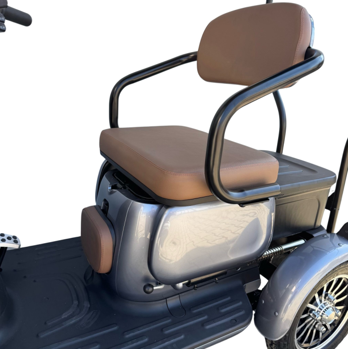 Tricicletă Electrică cu 2 Locuri, Acoperiș și Baterie 20Ah [12]