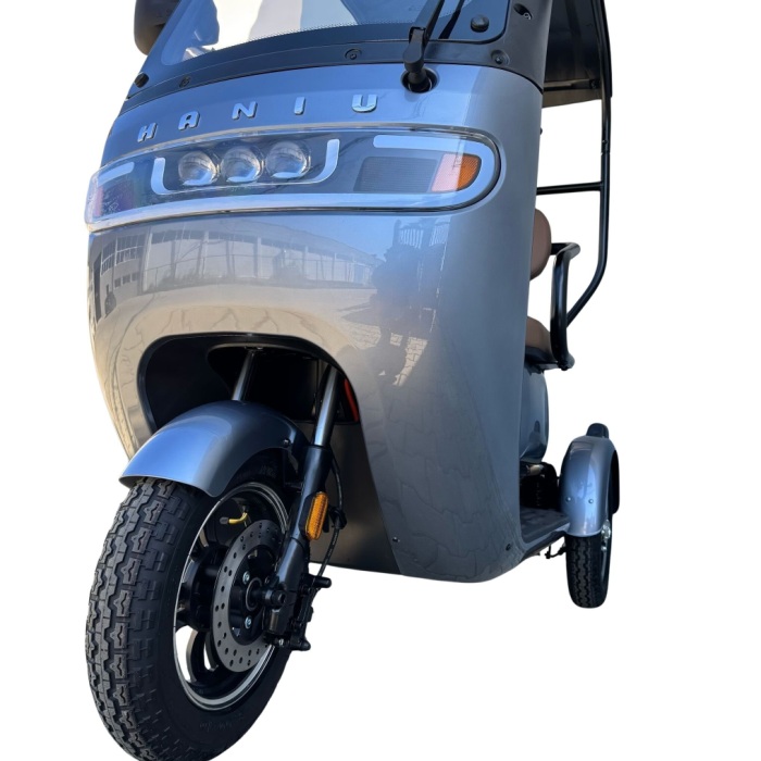 Tricicletă Electrică cu 2 Locuri, Acoperiș și Baterie 20Ah [5]