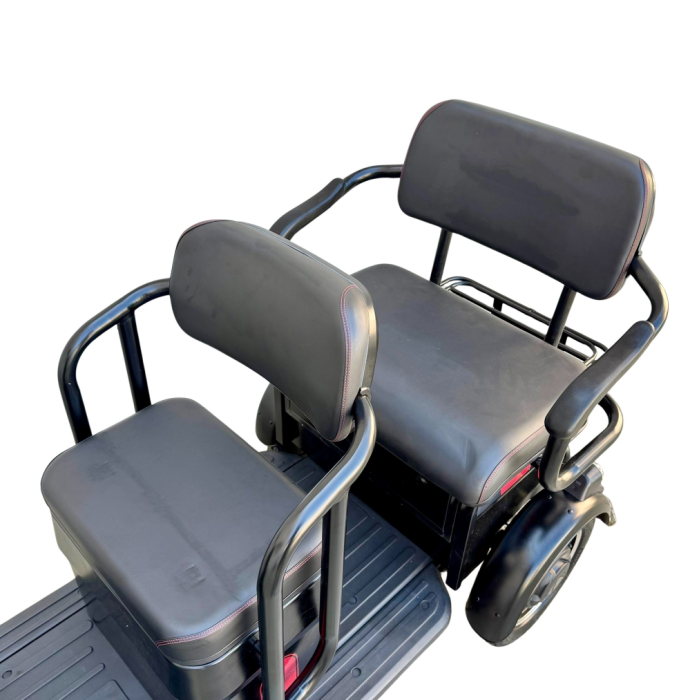 Tricicletă Electrică cu 2 Locuri și Baterie 20Ah [10]