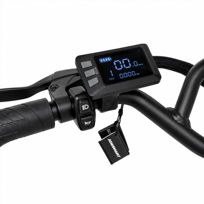 Trotineta electrica Adasmart X 1000W 48V 15.6Ah, autonomie 60 km [7]