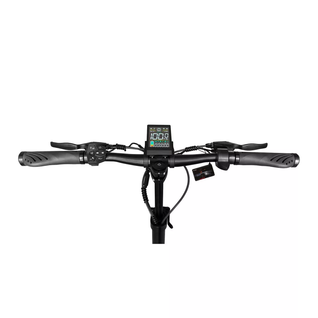 Trotineta electrica Joyor T10 EU 2x1000W 60V 18Ah 60 km/h [5]