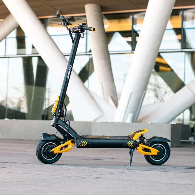 Trotineta Electrica Vsett 10+ Super [4]