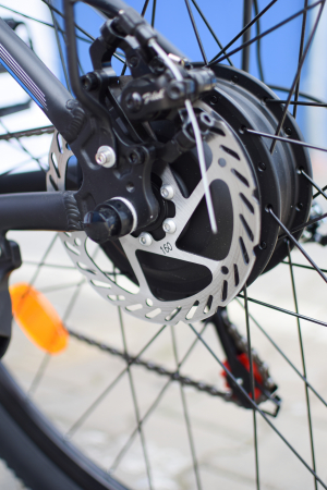 Bicicleta Electrica E8, roti 29 inch, 48V 17,5ah, 750W, 48 km/h [33]