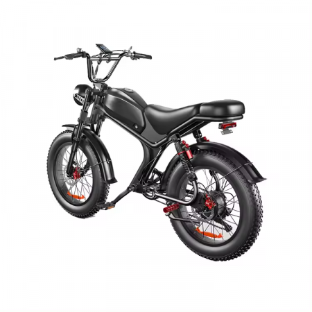 Bicicleta-Moto Electrica C93, 1000w, viteza 55 km/h, 20inch, autonomie 80km [12]