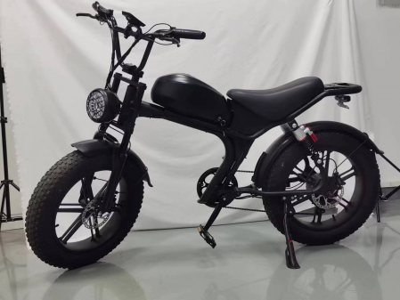 Bicicleta-Moto Electrica C93, 1000w, viteza 55 km/h, 20inch, autonomie 80km [3]