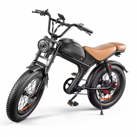 Bicicleta-Moto Electrica C93, 1000w, viteza 55 km/h, 20inch, autonomie 80km [8]